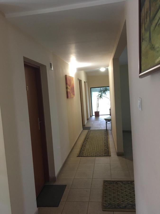 Pensiunea Brigi Satu Mare Exterior foto