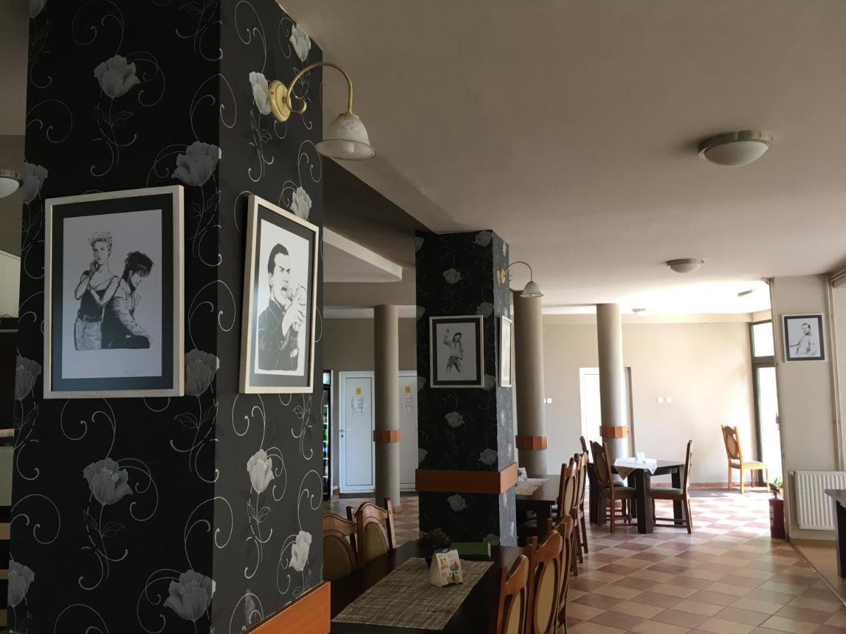 Pensiunea Brigi Satu Mare Exterior foto